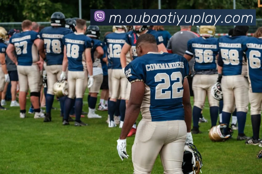 App Interface Preview